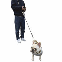 丸和貿易 リード ショルダーリード 犬 グリーン 489800 1個（直送品）