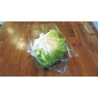 コバヤシ 青果用袋 KBレタス時短bag(1玉用) 00617708 1ケース(3000個(50個×60))（直送品）