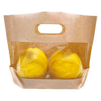 コバヤシ スタンド袋 KBクラフトバックPLUS+2518 00684045 1ケース(2500個(50個×50))（直送品）