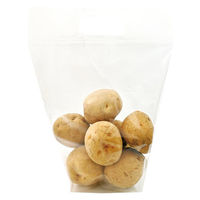 コバヤシ スタンド袋 KBタフタッチ2431 00754910 1ケース(1500個(50個×30))（直送品）