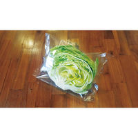 コバヤシ 青果用袋 KBレタス時短bag(1/2玉用) 00799648 1ケース(5000個(50個×100))（直送品）