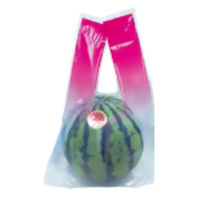 コバヤシ ポリ手提げ KB青果袋(大)レッド 00799653 1ケース(1000個(50個×20))（直送品）