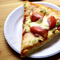 三和紙工 紙皿 スタンダードホワイト 9号 00801698 1ケース(1200個(100個×12))（直送品）