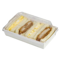 ヤマニパッケージ 紙トレー RPトレー 18×11 FS 10-419FS 1ケース(500個)（直送品）