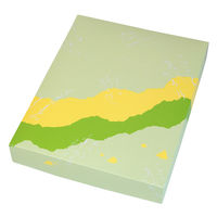 ヤマニパッケージ 和菓子容器 四季の詩20ヶ入トレーなし 19-155 1ケース(200個(200個×1))（直送品）