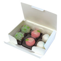 ヤマニパッケージ 和菓子容器 ルミアエコ和生サービス6ヶ入 19-160 1ケース(200個)（直送品）