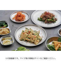 トーダイ 皿 MK ステンレス 丸皿 30cm RSP-30 375RSP30 1ケース(1個)（直送品）