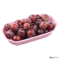 エフピコ フルーツ容器 FPフルーツ 2M(21-11) バル桃W 4C821113 1ケース(800個(50個×16))（直送品）