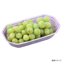 エフピコ フルーツ容器 FPフルーツ 2M(21-11) バル紫W 4C821116 1ケース(800個(50個×16))（直送品）