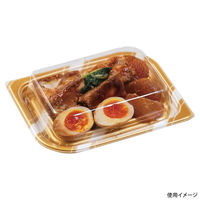 エフピコ 惣菜容器 MFPわかば20-15 スラン金 4M092052 1ケース(750個(50個×15))（直送品）