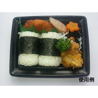 中央化学 軽食容器 CT 沙楽 K15-12 BK 身 5207 1ケース(1200個(50個×24))（直送品）