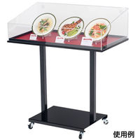 友屋 売場備品 サンプルケーススタンド ワイド 56997*** 1ケース(1個)（直送品）
