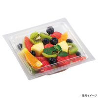 エフピコ サラダ容器 APアングル 18-18(40) 本体 エコ 7R001818 1ケース(600個(50個×12))（直送品）