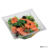 エフピコ サラダ容器 APアングル 15-15(50) 本体 エコ 7R021515 1ケース(1000個(50個×20))（直送品）