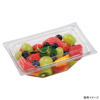 エフピコ サラダ容器 APアングル 18-11(54) 本体 エコ 7R021811 1ケース(1000個(50個×20))（直送品）