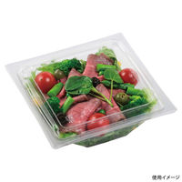 エフピコ サラダ容器 APアングル 18-18(50) 本体 エコ 7R021818 1ケース(600個(50個×12))（直送品）