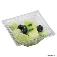 エフピコ サラダ容器 APアングル 13-13(46) 本体 エコ 7R021313 1ケース(1400個(50個×28))（直送品）