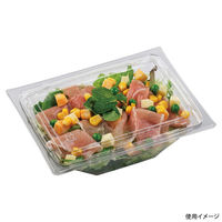 エフピコ サラダ容器 APアングル 19-14(50) 本体 エコ 7R021914 1ケース(800個(50個×16))（直送品）