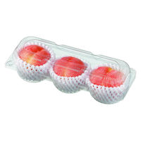 エフピコチューパ フルーツ容器 ペコペットフルーツL-3 CP007688 1ケース(400個(50個×8))（直送品）