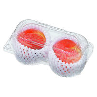 エフピコチューパ フルーツ容器 ペコペットフルーツL-2 CP007679 1ケース(900個(50個×18))（直送品）