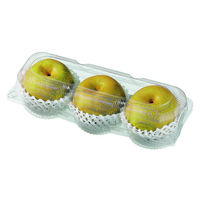 エフピコチューパ フルーツ容器 ペコペットフルーツ2L-3 CP007689 1ケース(400個(50個×8))（直送品）