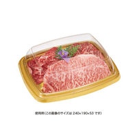 リスパック バイオ パティブル角 24-19 OCA FPBR556 1ケース(400個(50個×8))（直送品）