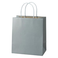 パックタケヤマ 紙手提袋 STカラーズ アッシュブルー XZT68305 1袋(10個)（直送品）