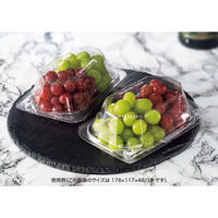 リスパック フルーツ容器 バイオ きらめき 18-14L(70) PBTV656 1袋(50個)（直送品）