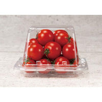 リスパック フルーツ容器 バイオ リバゲイト 13-13BR PRVA090 1袋(50個)（直送品）