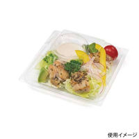 リスパック 惣菜容器 バイオ リファイン 15-16B PBPW170 1袋(50個)（直送品）