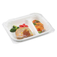 中央化学 弁当容器 CTカインド20-16 2S W 身 00810808 1ケース(800個(50個×16))（直送品）