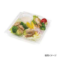 リスパック 惣菜容器 バイオ リファイン 16-16B PBPW210 1ケース(900個(50個×18))（直送品）