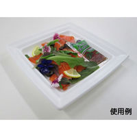 中央化学 軽食容器 CT 沙楽 K20-20 W 身 19356 1ケース(600個(50個×12))（直送品）