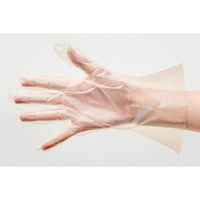 パックスタイル 使い捨て手袋 ポリ手袋ライトフィット箱入 半透明 SS 00768649 1ケース(6000個(100個×60))（直送品）