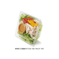 リスパック バイオ フェイスオン 16-OC PBPY298 1袋(50個)（直送品）