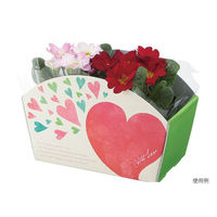 ヤマニパッケージ 贈答箱 F-455 カラフルバスケット ハートアンドグリーン 1ケース(100個(10個×10))（直送品）