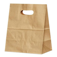 パックタケヤマ 紙手提袋 イーグリップ LL 茶無地 XZT52026 1袋(50個)（直送品）