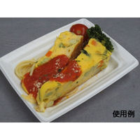 中央化学 軽食容器 CT 沙楽 K15-12 W 身 4978 1ケース(1200個(50個×24))（直送品）