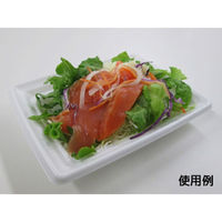 中央化学 軽食容器 CT 沙楽 K20-15 W 身 8557 1ケース(800個(50個×16))（直送品）