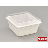 中央化学 軽食容器 SD キャセロ 4K100-46 W 身 924019 1ケース(1800個(50個×36))（直送品）