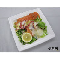 中央化学 軽食容器 CT 沙楽 K18-18 W 身 19158 1ケース(800個(50個×16))（直送品）