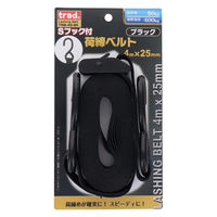 三共コーポレーション TRAD Sフック荷締ベルト 25mm×4m TNBー4SーBK 823532 1個（直送品）