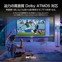 WIS 55型 4KチューナーレスGoogleTV 55GTN 1台（直送品）