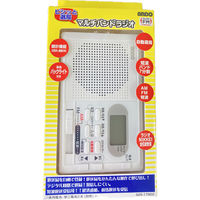 アンドーインターナショナル ビシッと選局マルチバンドラジオ S25-179DZ 1台（直送品）