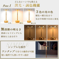 A-0009-B（直送品）