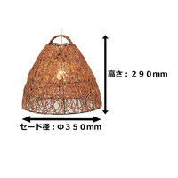 東京メタル アジアンペンダントライト WDLD066Z 1台（直送品）