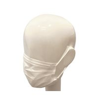 アズワン 2plyマスク フリーサイズ 50枚入 6-8647-11 1箱(50枚)（直送品）