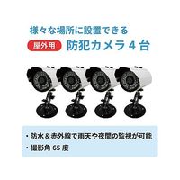ブロードウォッチ 屋外型簡易監視カメラセット(VGA) SEC-S-4C 1セット 60-3183-39（直送品）