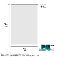 サンケーキコム 超強力マグピタシート GOMS-2030 1セット(10枚)（直送品）