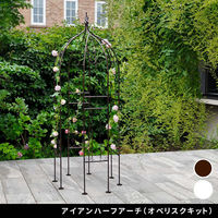 住まいスタイル アイアンハーフアーチ(オベリスクキット) IF-N0035WHT 1台（直送品）